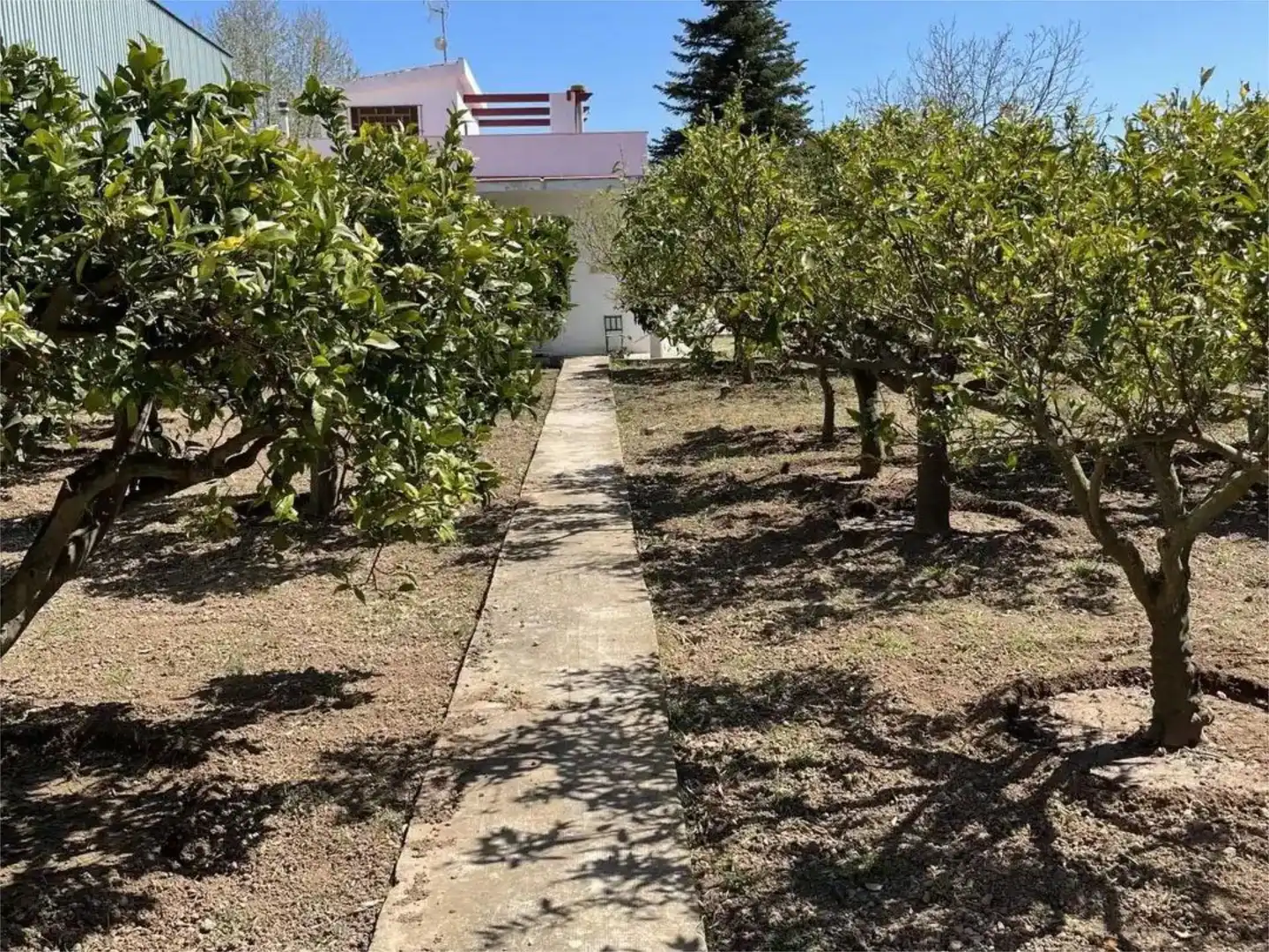 Casa o xalet en venda a Passeig de la Via, 8, Ulldecona Casa o xalet en venda en Ulldecona amb Terrassa i Piscina