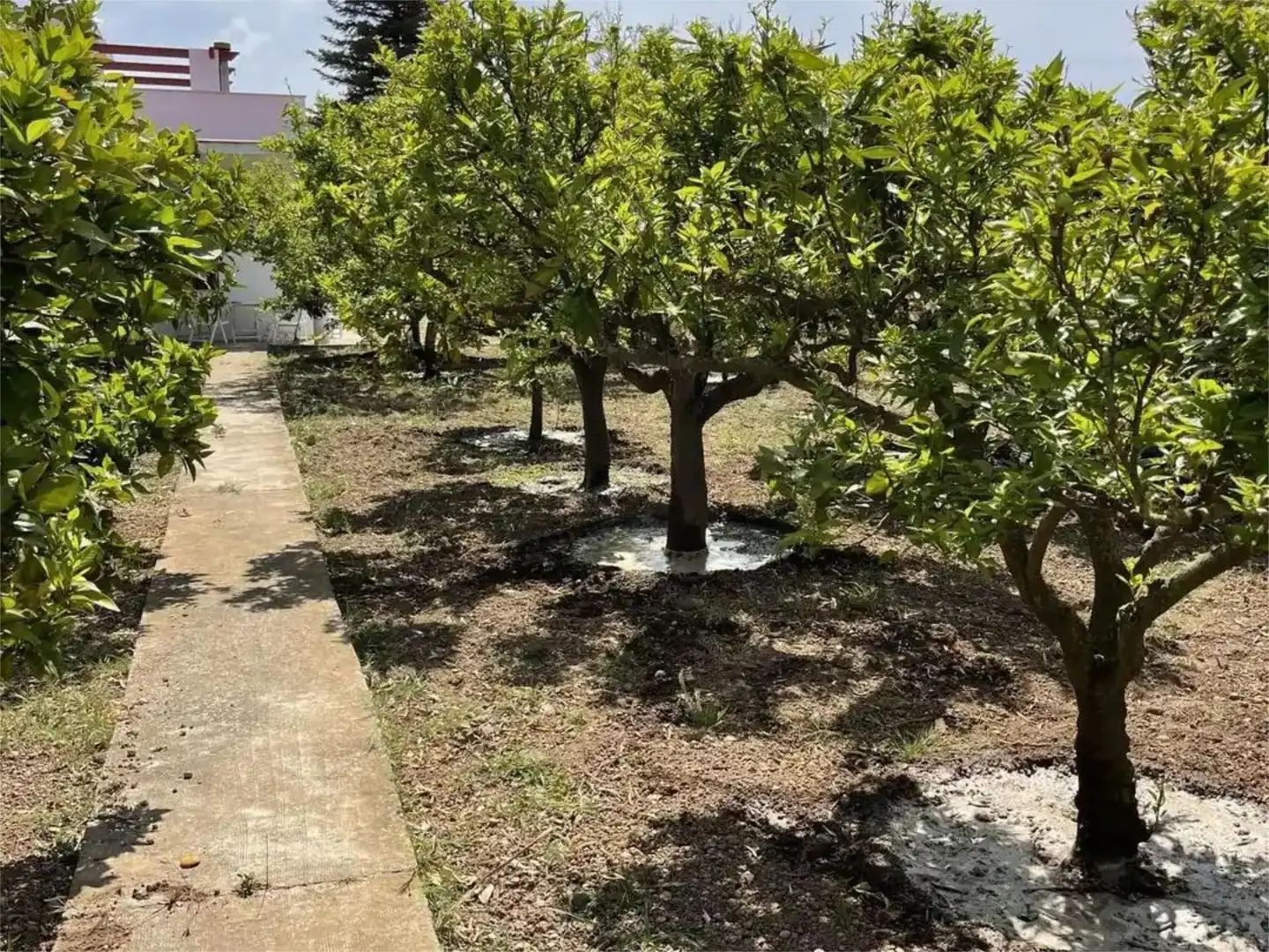 Casa o xalet en venda a Passeig de la Via, 8, Ulldecona Casa o xalet en venda en Ulldecona amb Terrassa i Piscina