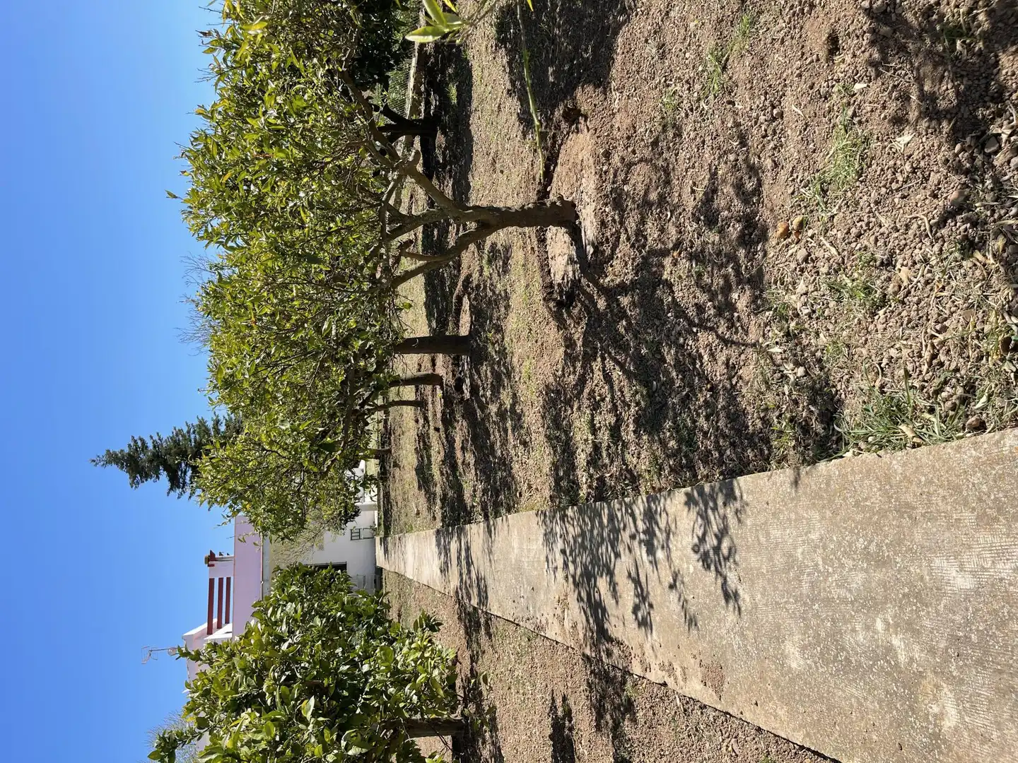 Casa o xalet en venda a Passeig de la Via, 8, Ulldecona Casa o xalet en venda en Ulldecona amb Terrassa i Piscina