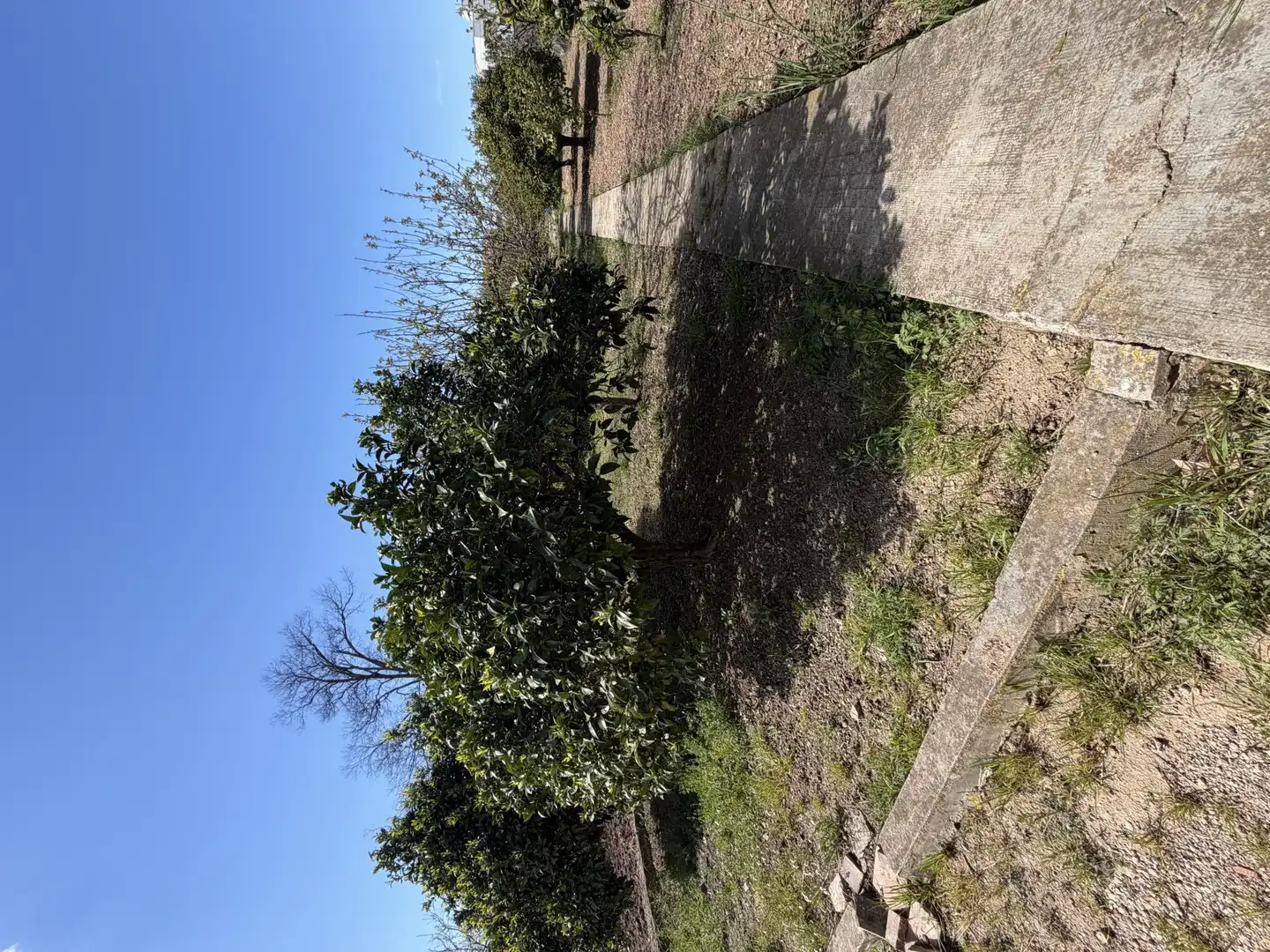 Casa o xalet en venda a Passeig de la Via, 8, Ulldecona Casa o xalet en venda en Ulldecona amb Terrassa i Piscina
