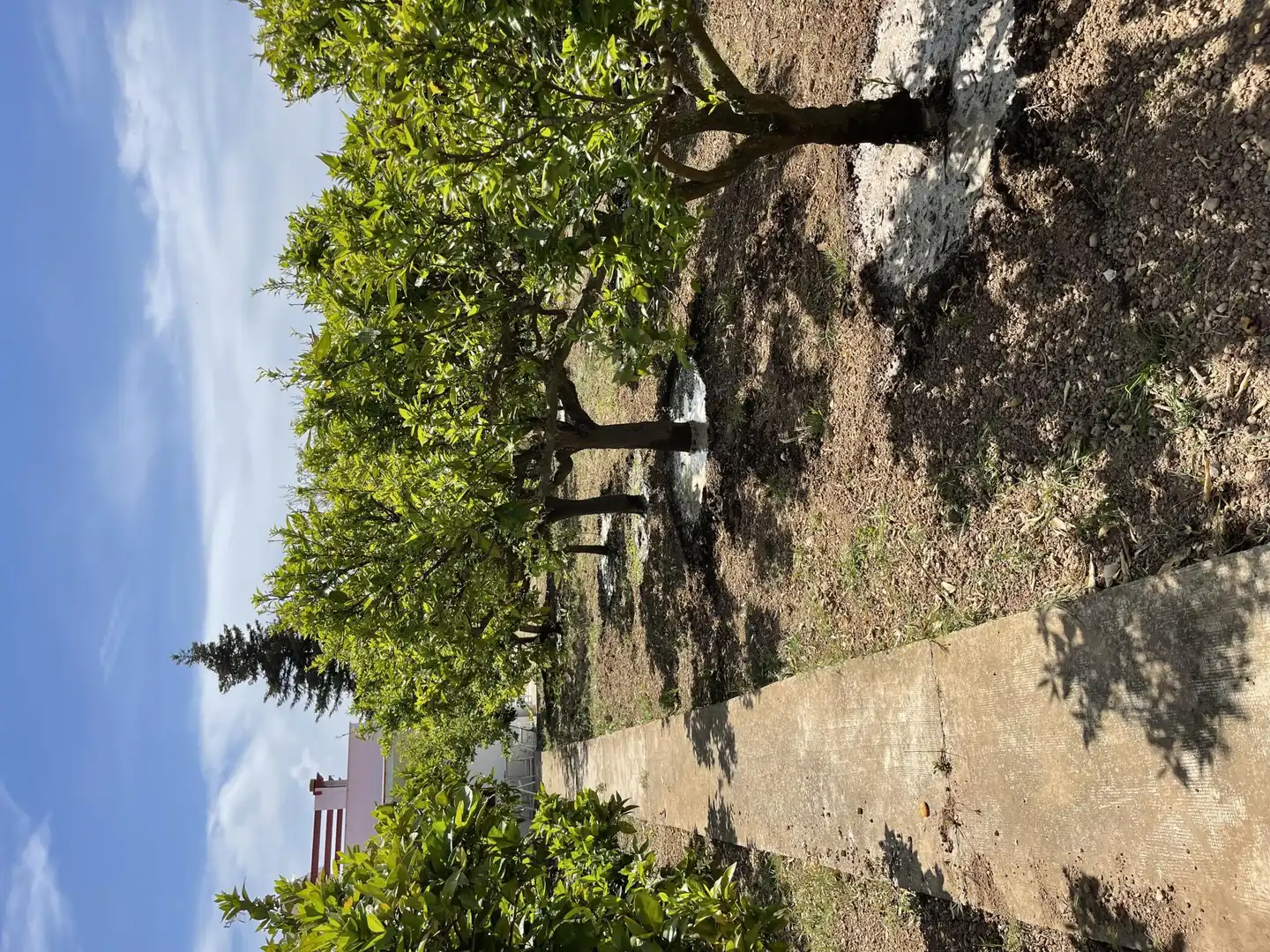 Casa o xalet en venda a Passeig de la Via, 8, Ulldecona Casa o xalet en venda en Ulldecona amb Terrassa i Piscina