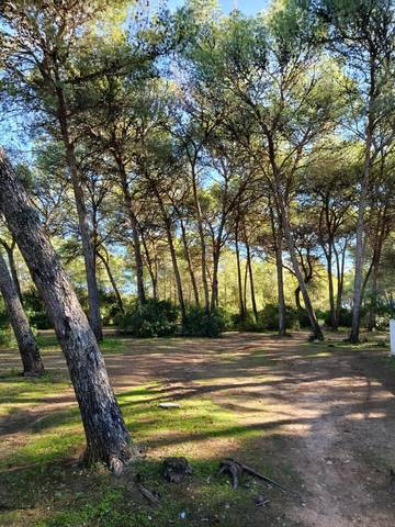 Casa adosada en Venta en Calle Abeto, 82 en Las Canteras