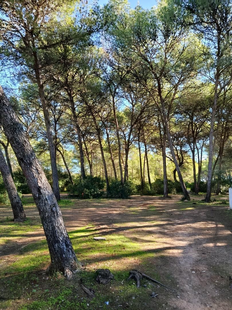 Casa adosada en venta en Puerto Real con Aire acondicionado y Trastero