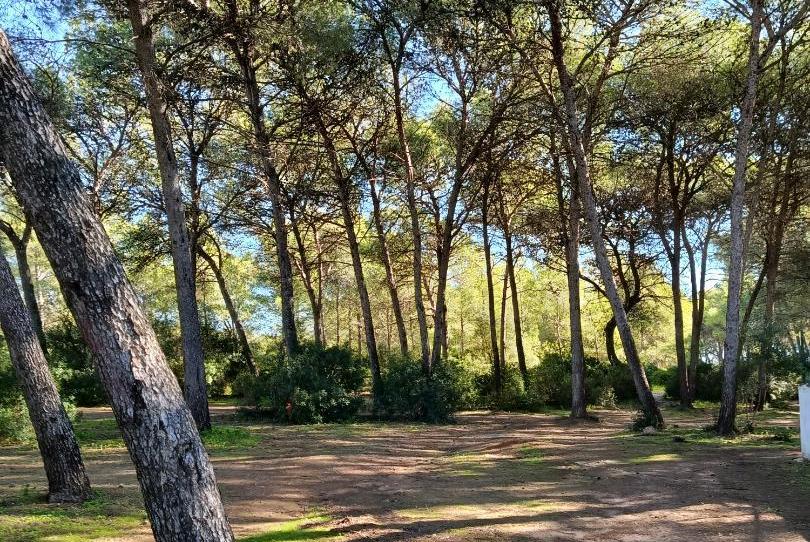 Casa adosada en venta en Calle Abeto, 82, Las Canteras, Puerto Real - imagen 1 Foto 1 de Casa adosada en venta en Calle Abeto, 82, Las Canteras, Puerto Real