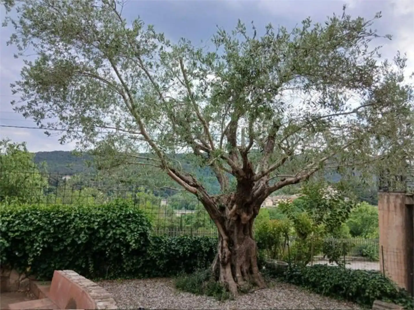 Wohnung zum Verkauf in Besalú
