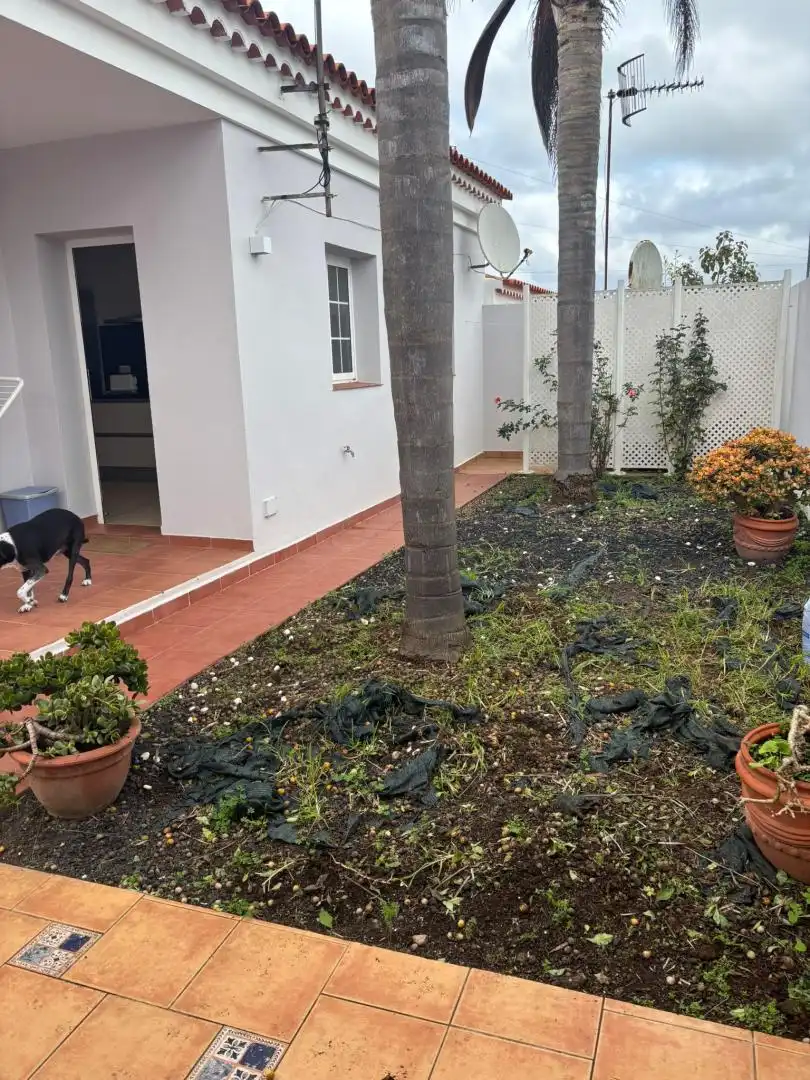 Planta baja de alquiler en Calle Suprema, 26, Guamasa - El Ortigal - Los Rodeos Jardín de Planta baja de alquiler en San Cristóbal de la Laguna con Jardín privado, Parquet y Amueblado