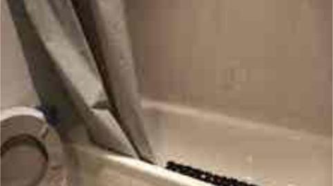 Apartments for rent in Parque Alcosa, Sevilla Capital - image 3 Photo 3 of Apartments for rent in Parque Alcosa, Sevilla Capital