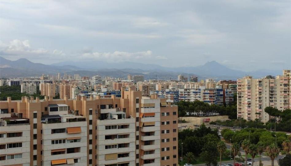 Dachboden zur Miete in Carrer Catedratic Abelardo Rigual, 10, Playa de San Juan, Alicante / Alacant - Bild 1 Foto 1 von Dachboden zur Miete in Carrer Catedratic Abelardo Rigual, 10, Playa de San Juan, Alicante / Alacant