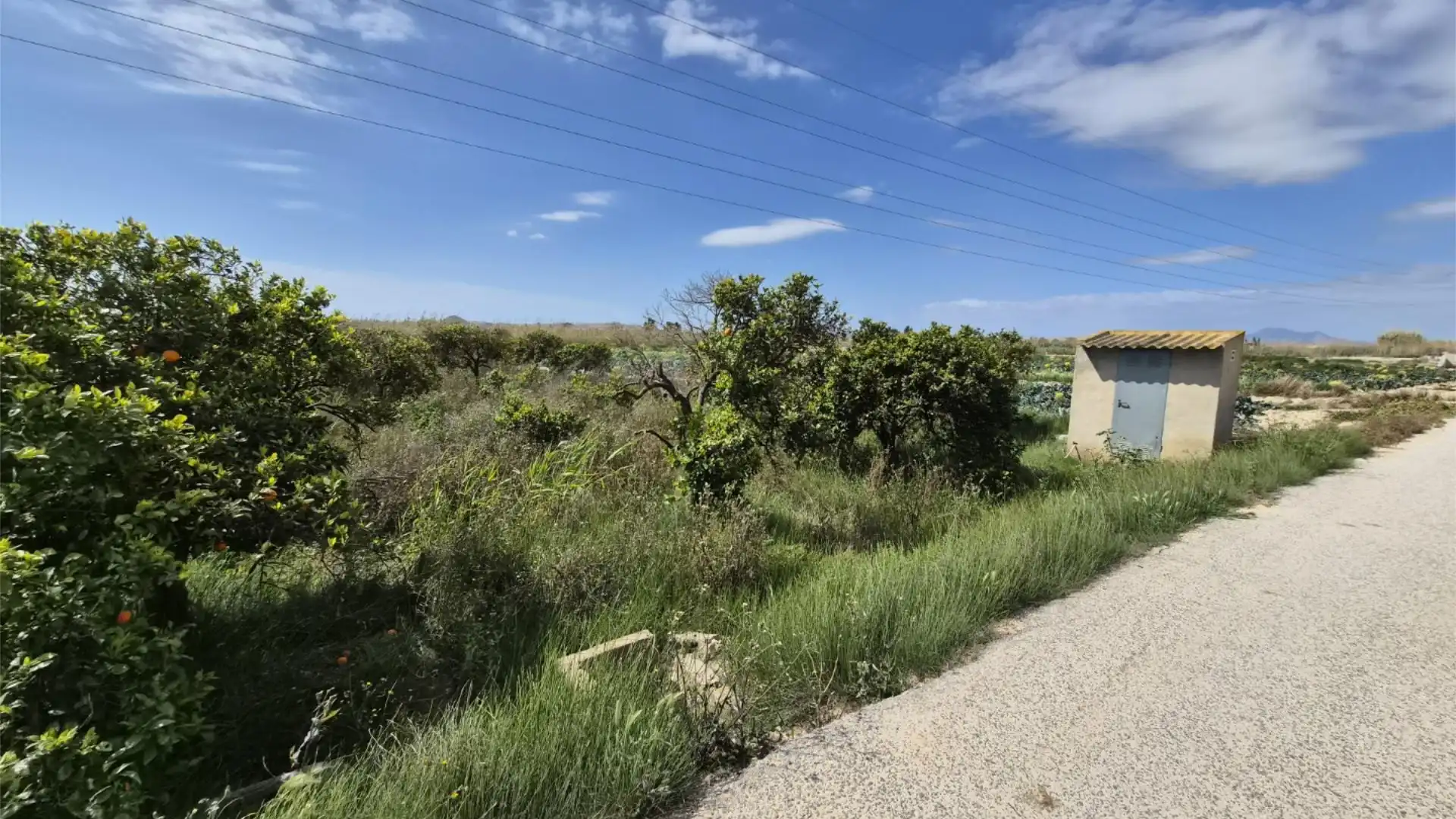 Finca rústica en venta en Guardamar del Segura