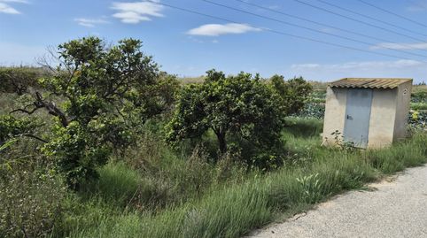 Foto 2 de Finca rústica en venta en Partida Saavedra, 32, El Edén, Guardamar del Segura