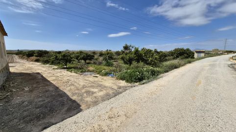 Foto 3 de Finca rústica en venta en Partida Saavedra, 32, El Edén, Guardamar del Segura