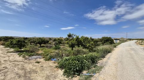 Foto 4 de Finca rústica en venta en Partida Saavedra, 32, El Edén, Guardamar del Segura