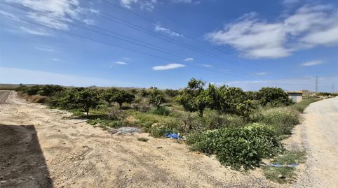 Foto 5 de Finca rústica en venta en Partida Saavedra, 32, El Edén, Guardamar del Segura