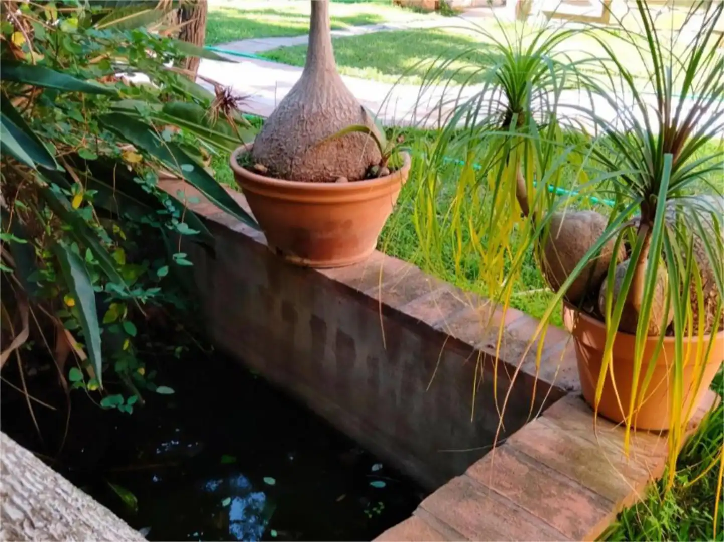 Piso en venta en Carretera, 188, El Velerín Jardín de Piso en venta en Estepona con Aire acondicionado, Calefacción y Jardín privado