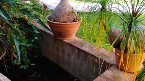 Foto 5 de Casa o xalet en venda a Carretera, 188, El Velerín, Estepona