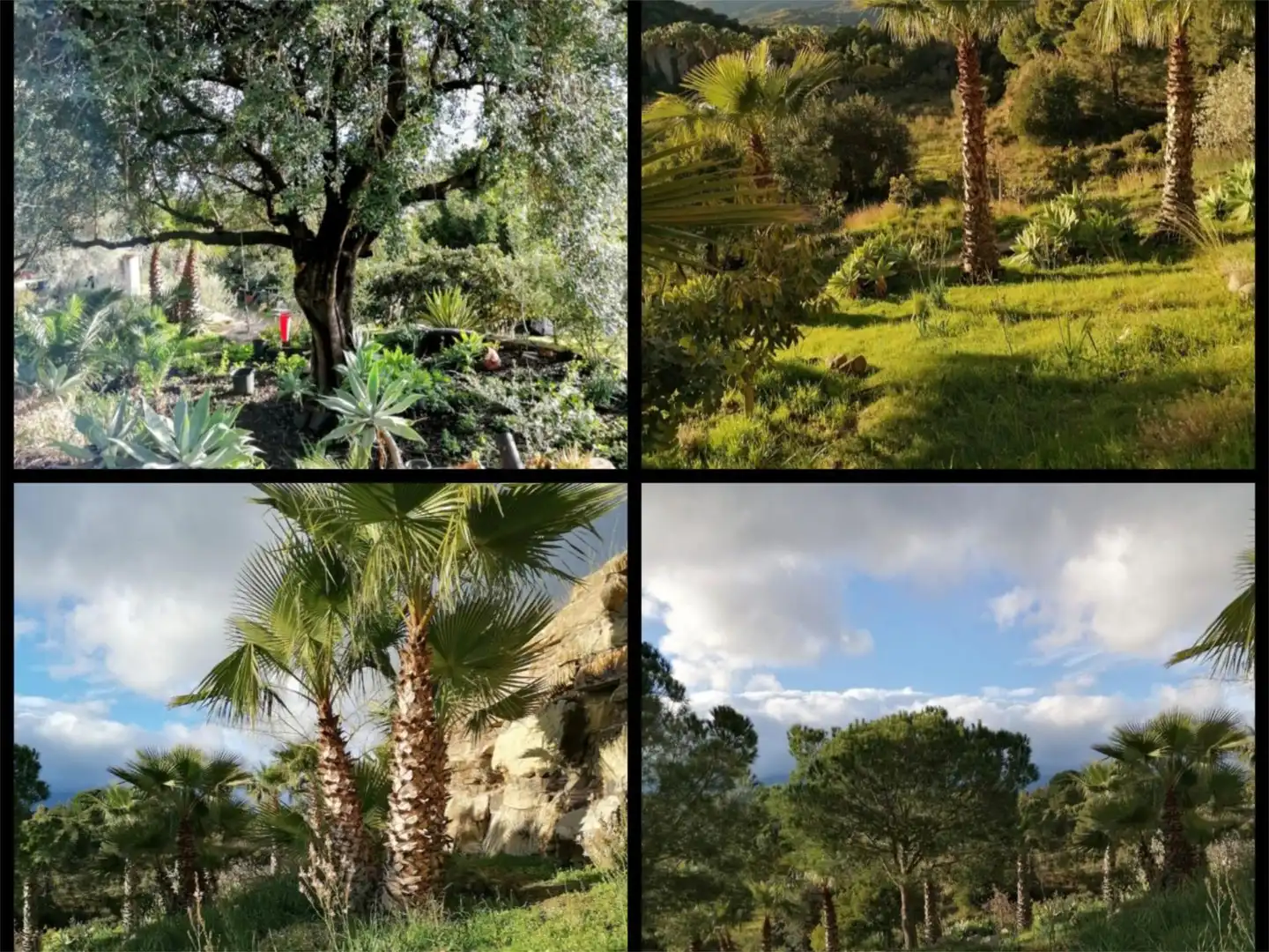 Piso en venta en Carretera, 188, El Velerín Jardín de Piso en venta en Estepona con Aire acondicionado, Calefacción y Jardín privado