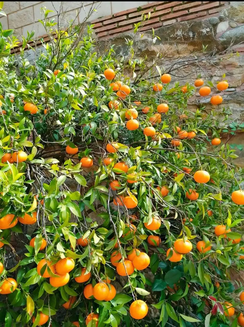 Piso en venta en Carretera, 188, El Velerín Jardín de Piso en venta en Estepona con Aire acondicionado, Calefacción y Jardín privado