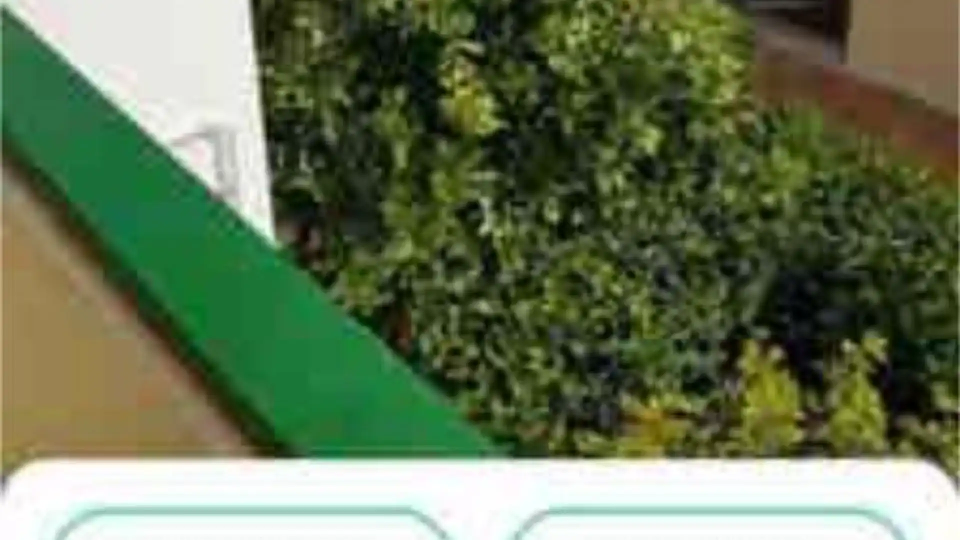 Jardín de Apartamento en venta en San Bartolomé de Tirajana