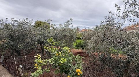 Photo 4 of Country homes for sale in Grupo Nuestra Señora del Rosario, 1, Estadio Castalia, Castellón de la Plana / Castelló de la Plana