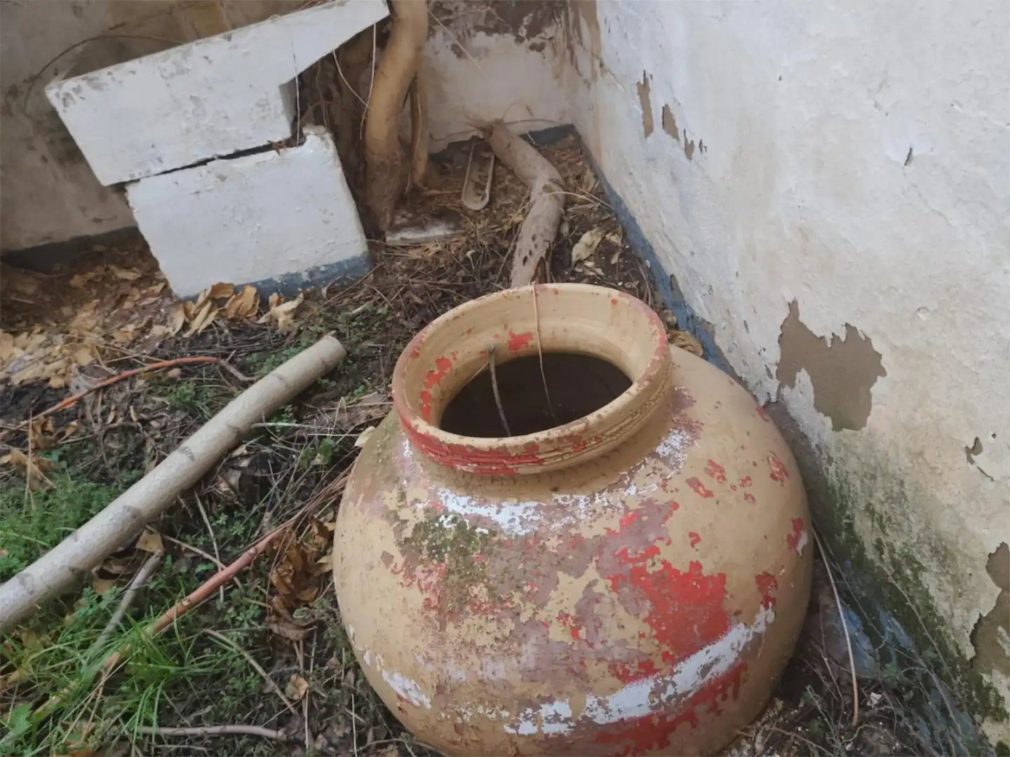 Jardín de Casa adosada en venta en Huéscar con Terraza