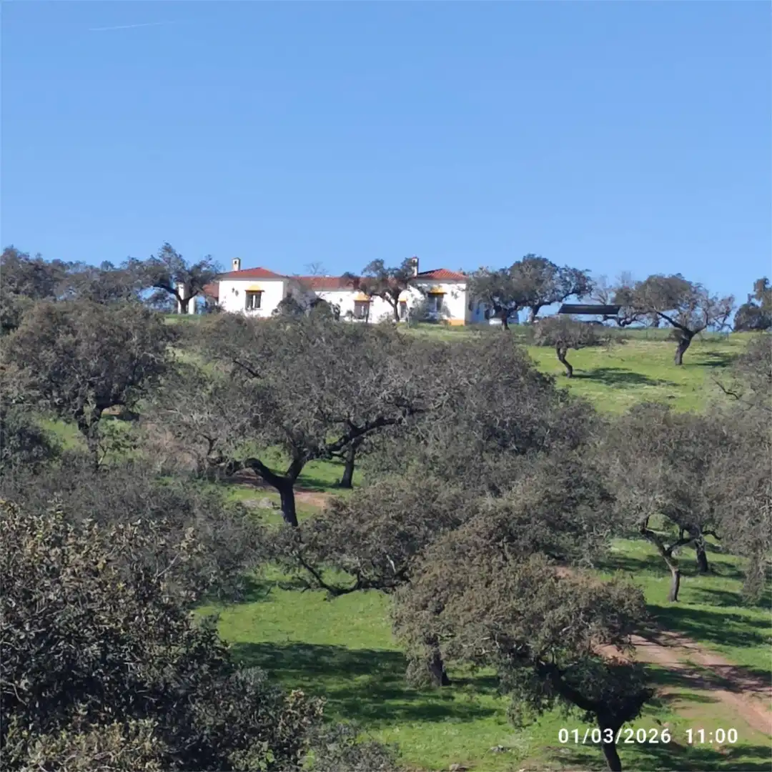 Vista exterior de Finca rústica en venta en Jerez de los Caballeros