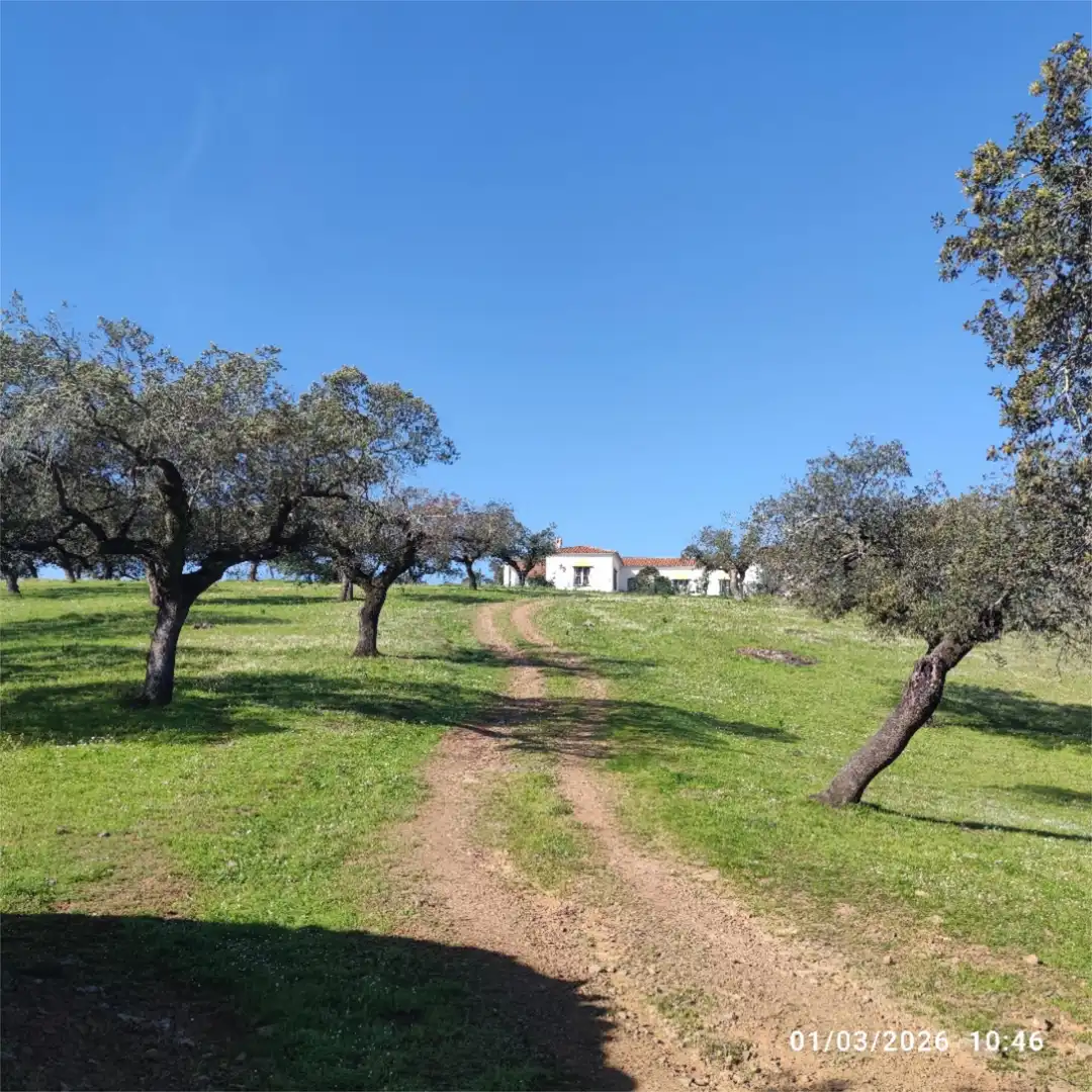 Finca rústica en venta en Ex-112, 2, Jerez de los Caballeros Vista exterior de Finca rústica en venta en Jerez de los Caballeros