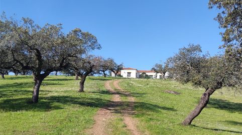 Foto 2 de Finca rústica en venta en Ex-112, 2, Jerez de los Caballeros, Badajoz