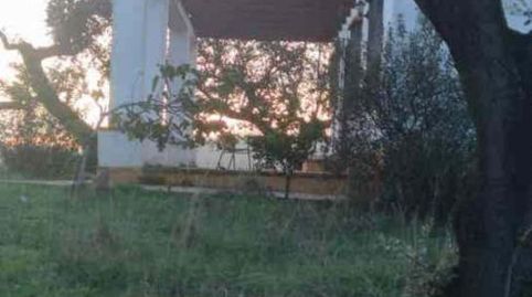 Foto 4 de Finca rústica en venta en Ex-112, 2, Jerez de los Caballeros, Badajoz