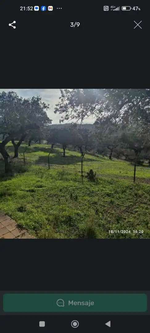 Finca rústica en venta en Ex-112, 2, Jerez de los Caballeros Finca rústica en venta en Jerez de los Caballeros