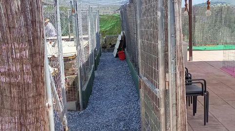 Foto 3 de Finca rústica en venta en Camino Caparacena, 102, Pinos Puente, Granada