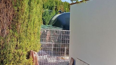 Foto 5 de Finca rústica en venta en Camino Caparacena, 102, Pinos Puente, Granada