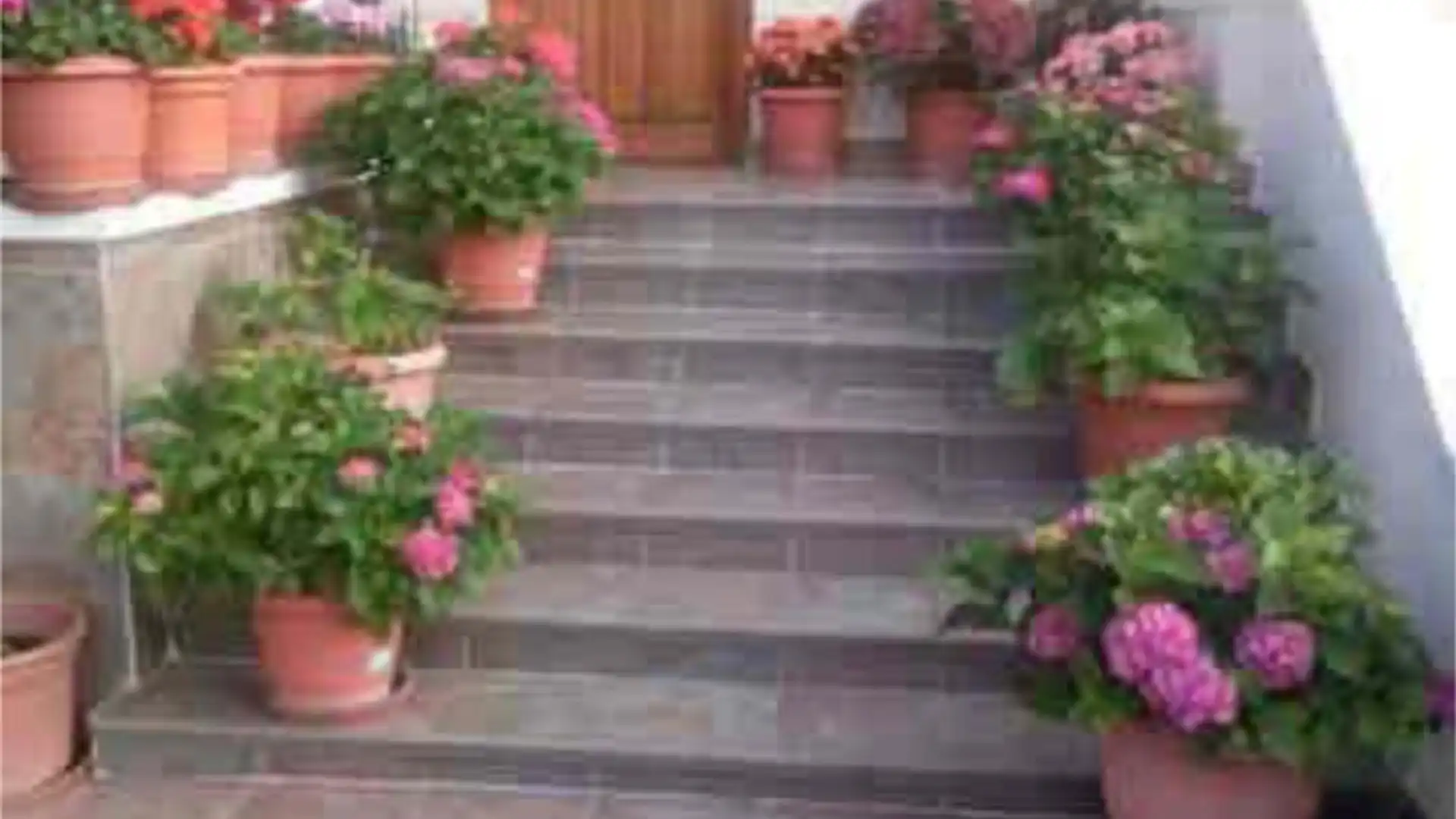 Single-family semi-detached for sale in Villaumbrales Terrace of Single-family semi-detached for sale in Villaumbrales