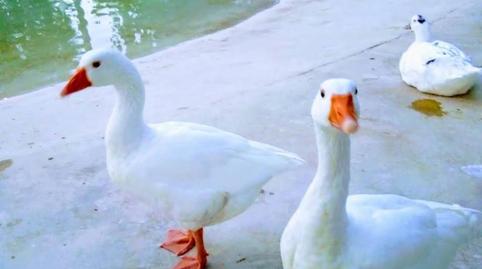 Photo 4 of Flat for rent in Calle Santa Lucía, 52, San Ginés, Murcia Capital