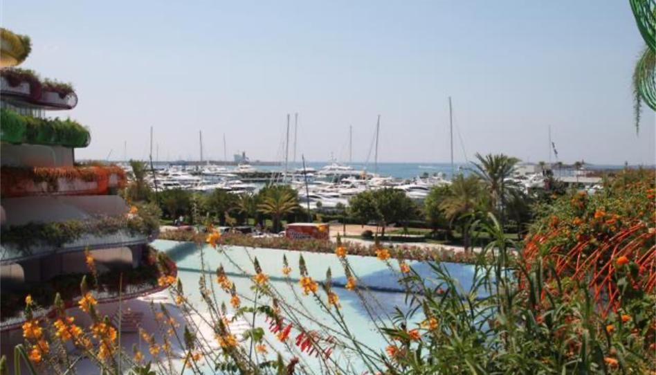Apartments for rent in Carrer del Ceramista Joan Daifa, 4, Marina Botafoc - Platja de Talamanca, Eivissa - image 1 Photo 1 of Apartments for rent in Carrer del Ceramista Joan Daifa, 4, Marina Botafoc - Platja de Talamanca, Eivissa