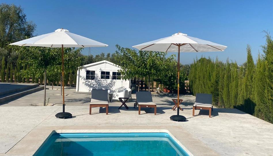 Haus oder Chalet zur Miete in Campo de Mirra / El Camp de Mirra, Alicante - Bild 1 Foto 1 von Haus oder Chalet zur Miete in Campo de Mirra / El Camp de Mirra, Alicante