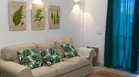 Photo 2 of Flat for rent in Via Argentina, 18, Pollença Poble, Pollença