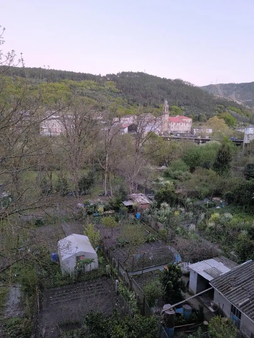 Jardí de Pis en venda en Ribadavia