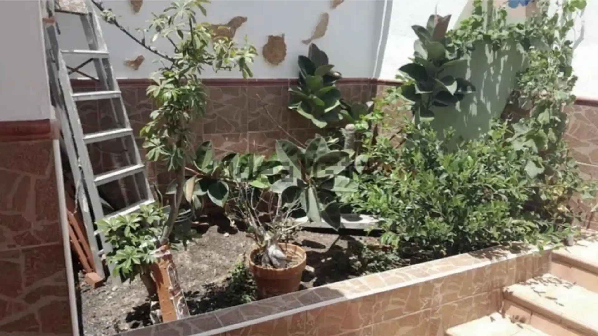 Garden of Houses for sale in Pájara