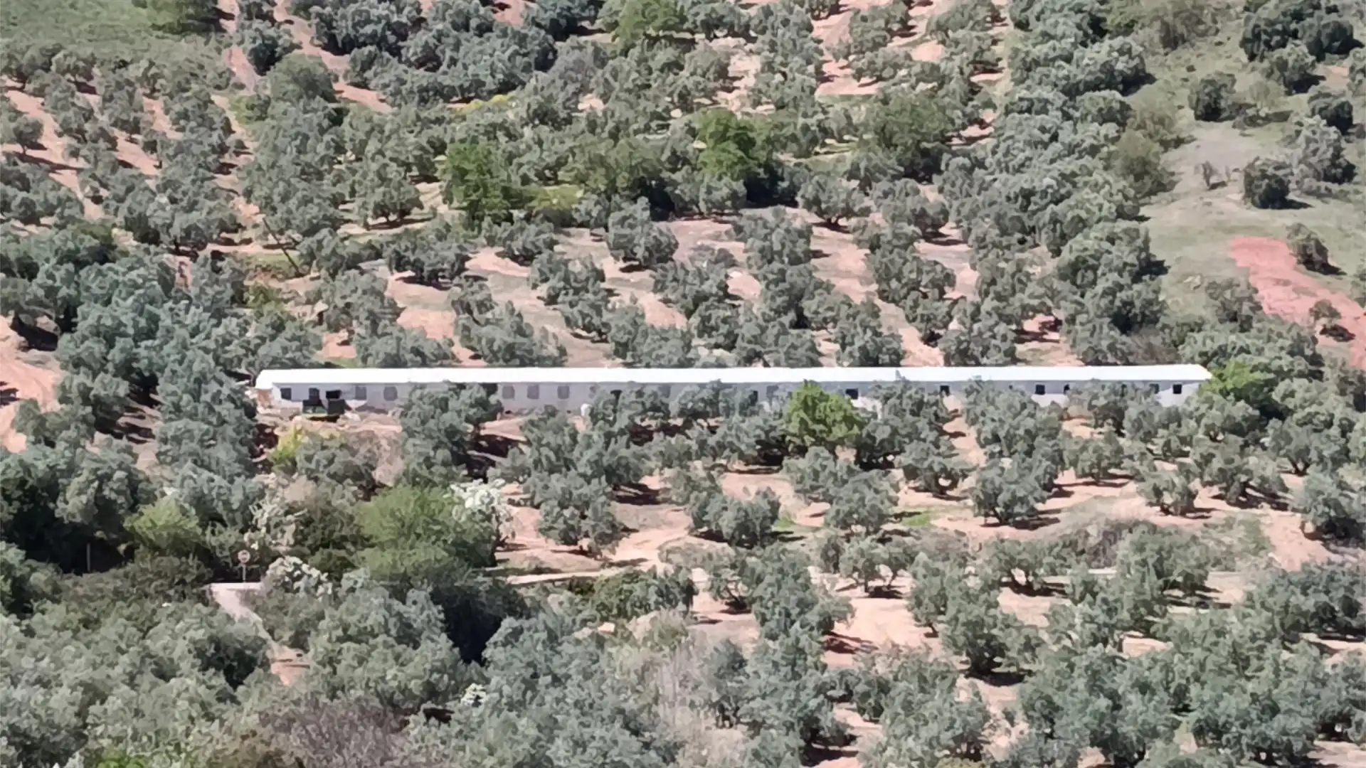 Finca rústica en venta en Calle Arcadio Ardoy, 2, Chiclana de Segura Finca rústica en venta en Chiclana de Segura