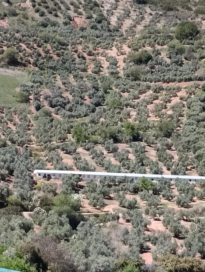 Finca rústica en venda a Calle Arcadio Ardoy, 2, Chiclana de Segura Finca rústica en venda en Chiclana de Segura
