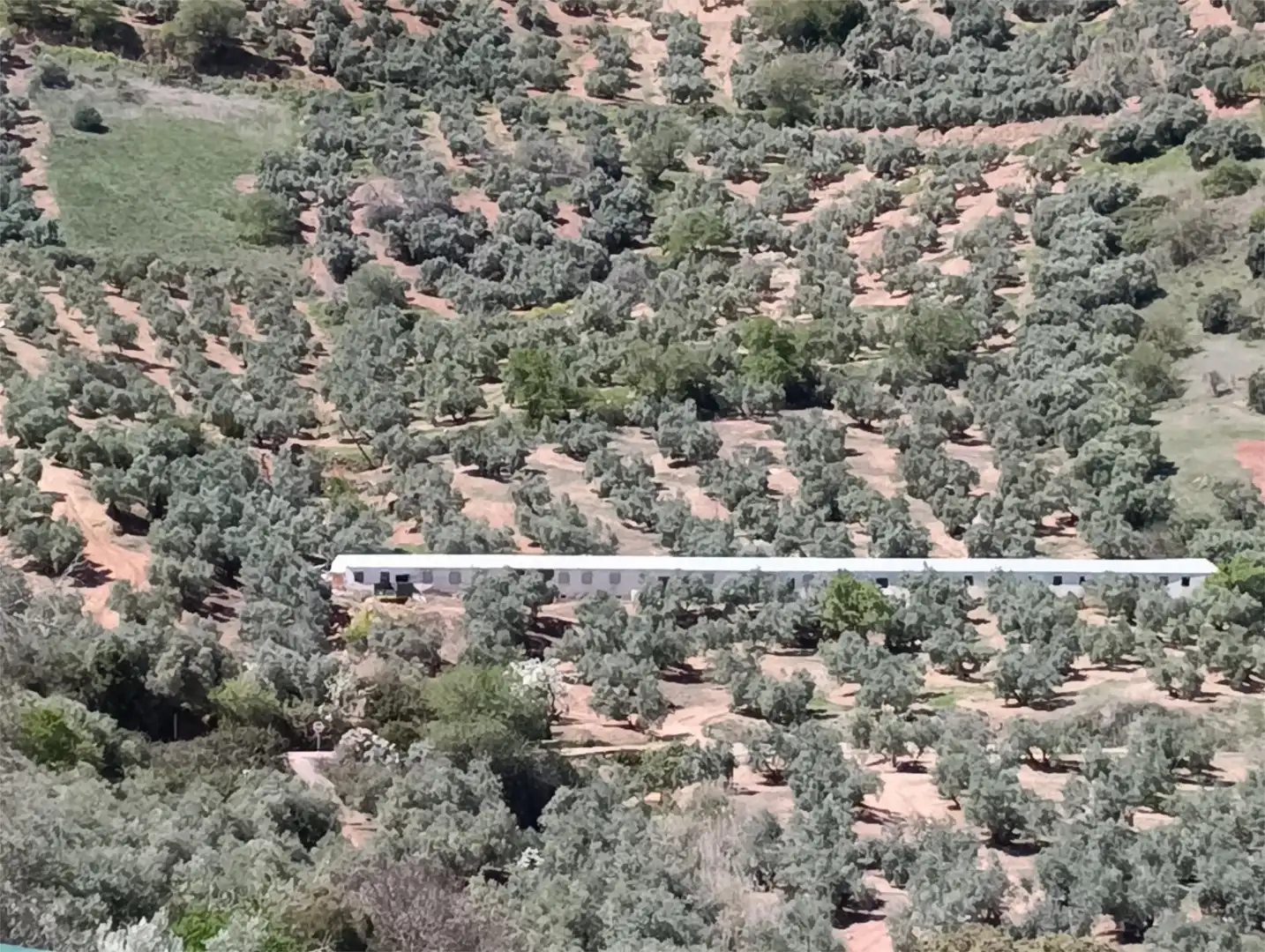 Finca rústica en venda a Calle Arcadio Ardoy, 2, Chiclana de Segura Finca rústica en venda en Chiclana de Segura