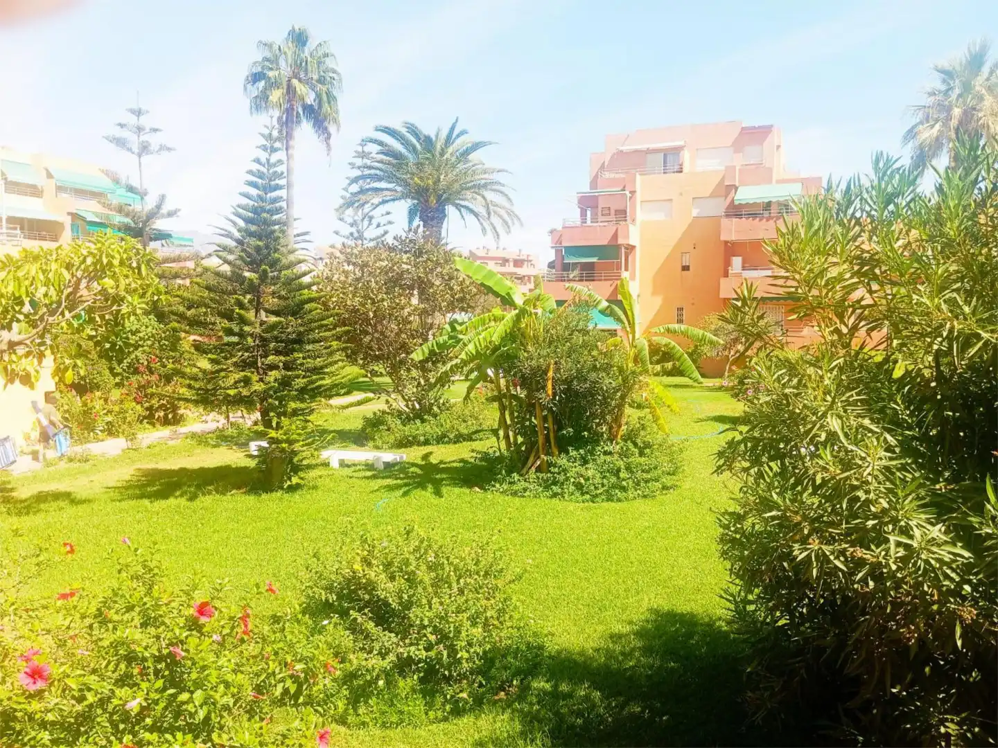 Garten von Wohnungen zur Miete in Salobreña mit Terrasse, Schwimmbad und Möbliert