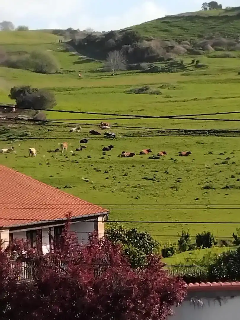 Vista exterior de Piso en venta en Alfoz de Lloredo con Terraza