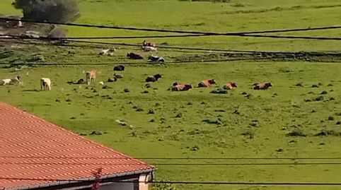 Flat for sale in Barrio Viallan, 231, Alfoz de Lloredo, Cantabria - image 5 Photo 5 of Flat for sale in Barrio Viallan, 231, Alfoz de Lloredo, Cantabria