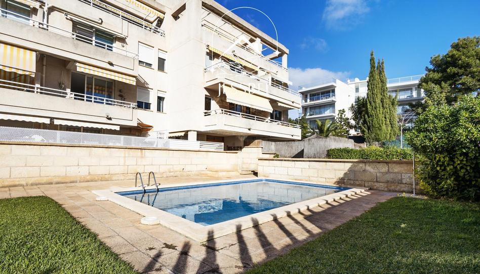 Piso en venta en Carrer Miguel de Cervantes, 12, Portals Nous, Calvià - imagen 1 Foto 1 de Piso en venta en Carrer Miguel de Cervantes, 12, Portals Nous, Calvià