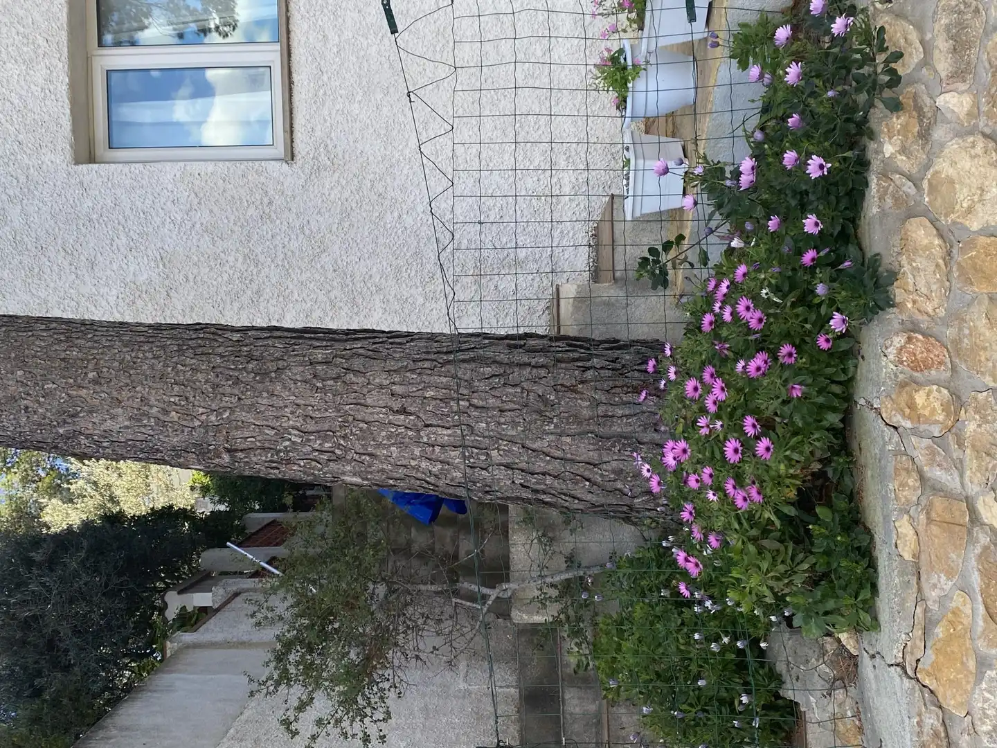 Loft zur Miete in Calle Isla la Horadada, 10, Alcalà de Xivert Außenansicht von Loft zur Miete in Alcalà de Xivert mit Terrasse, Schwimmbad und Balkon