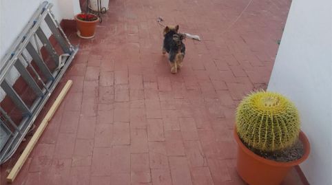 Photo 3 of Flat for sale in Avenida de Juan Carlos I, 20, Santo Angel, Murcia Capital