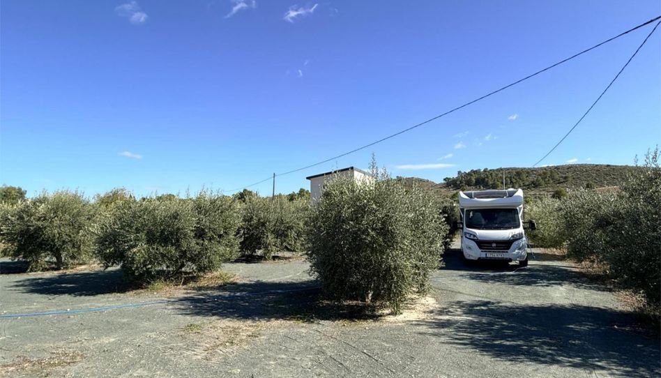 Estudio en venta en Plaza de la Villa, 13, Hondón de las Nieves / El Fondó de les Neus, Alicante - imagen 1 Foto 1 de Estudio en venta en Plaza de la Villa, 13, Hondón de las Nieves / El Fondó de les Neus, Alicante