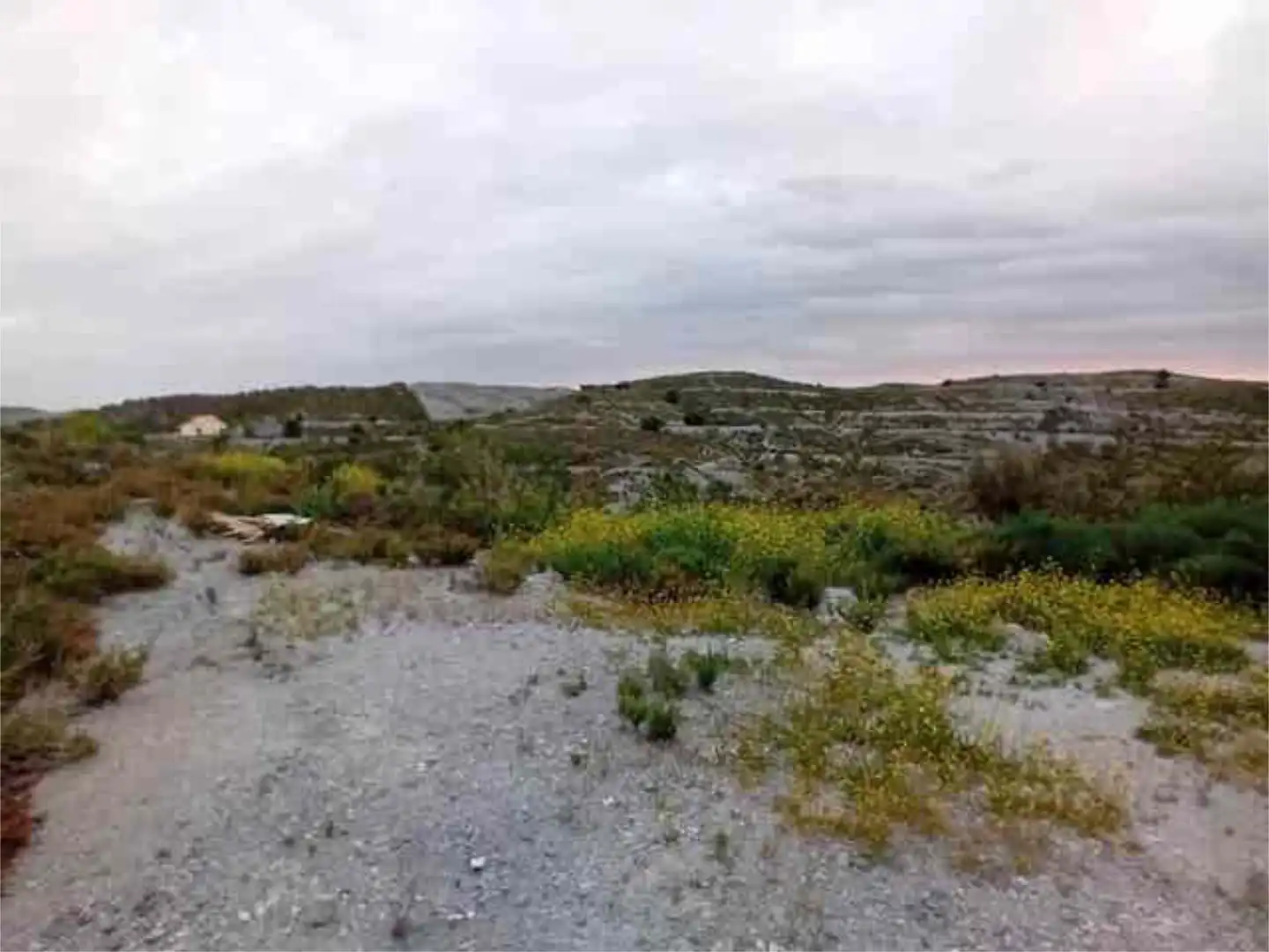 Houses for sale in Bejar Houses for sale in Lorca