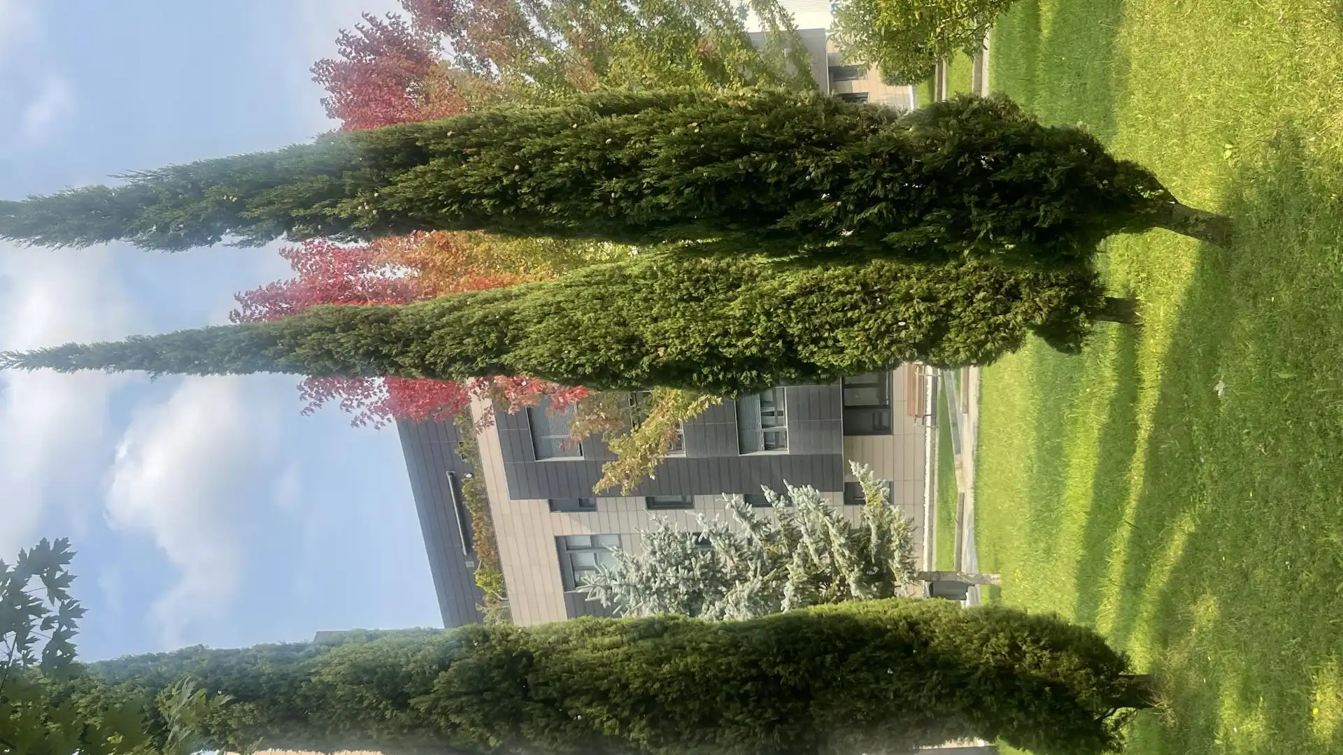 Room in Enekuri Bidea, 3, Erandio